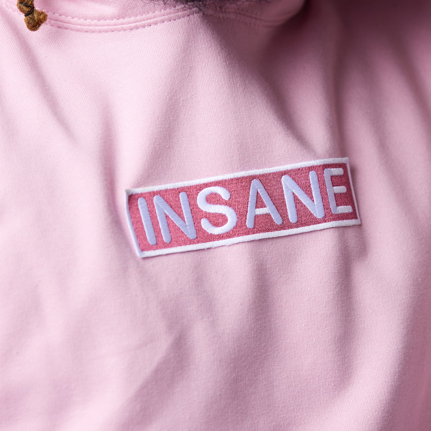 HOODIE / INSANE